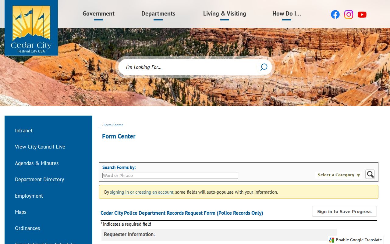 Cedar City criminal record request access status fields