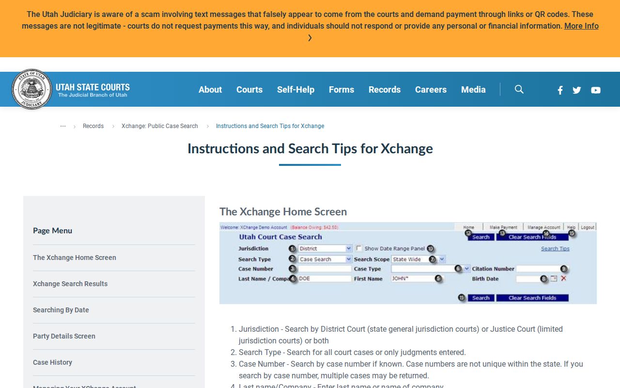 Iron County criminal record search fields in XChange